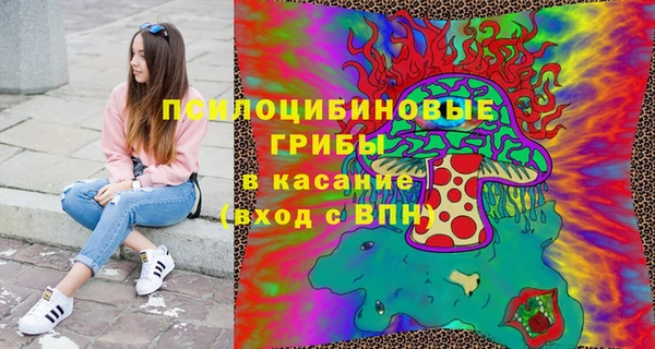 прущая мука Надым