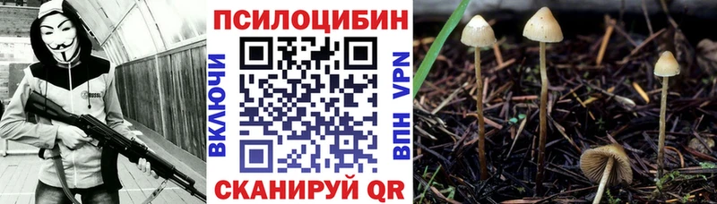 hydra рабочий сайт  Жуковка  Галлюциногенные грибы ЛСД 